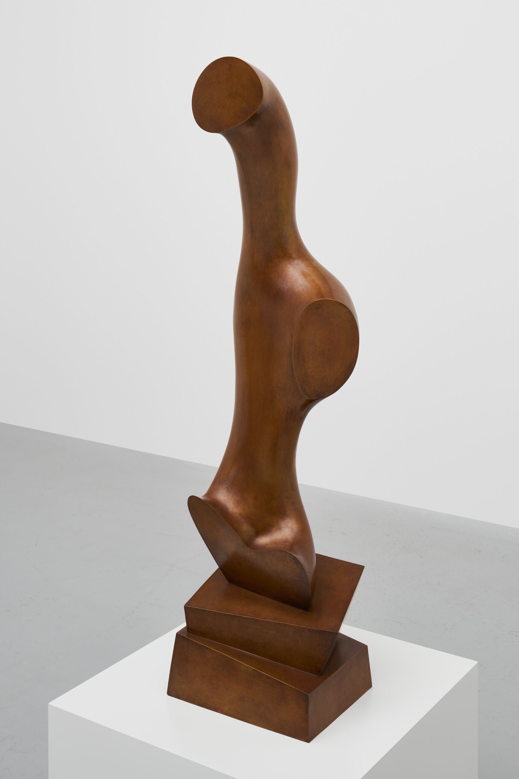 Image for exhibition titled Hans Arp